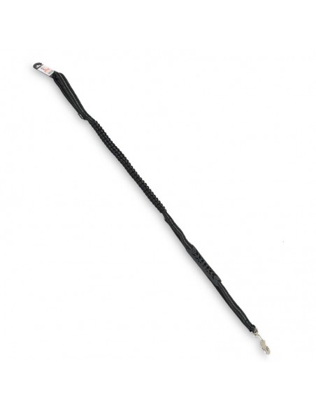 guinzaglio dog trakking