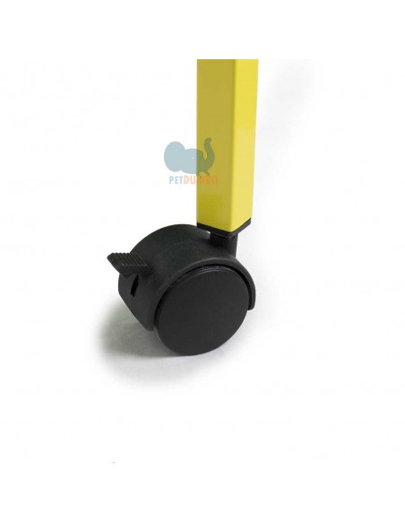 Voliera canarini e piccoli uccelli