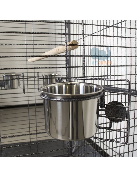 matoia acciaio pappagallo