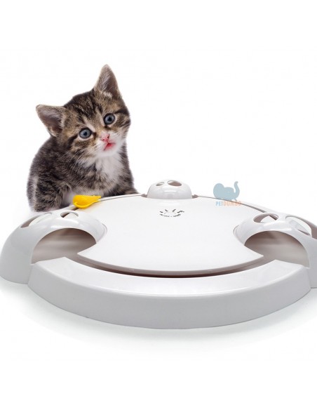 Gioco gatti elettronico