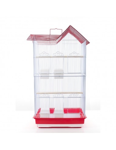 Gabbia inseparabili verde