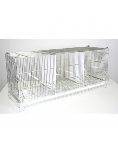 Gabbia cova 3 scomparti