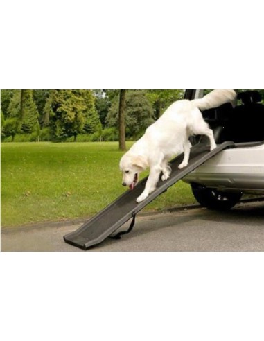 Rampa auto per cani