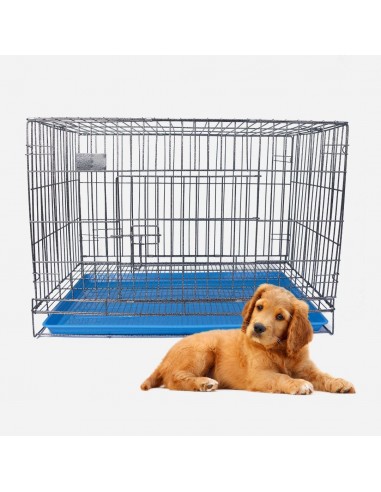 Box trasportino cane M