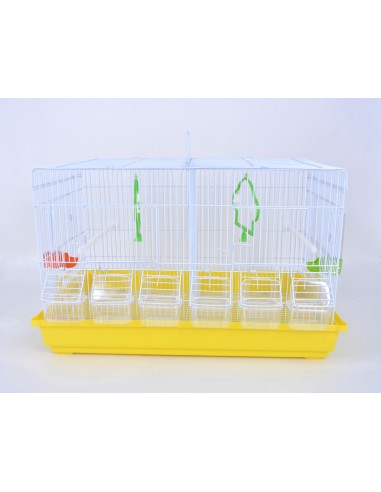 Gabbia Cova Gialla con Accessori