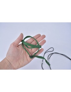 Pettorina con guinzaglio...