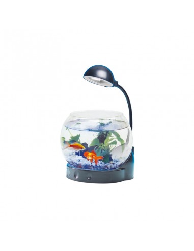 Mini acquario con illuminazione