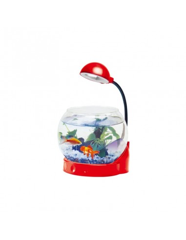 Mini acquario con illuminazione