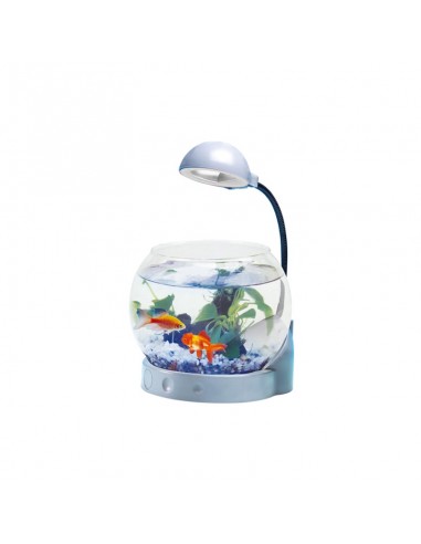 Mini acquario con illuminazione