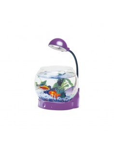 Mini acquario con illuminazione