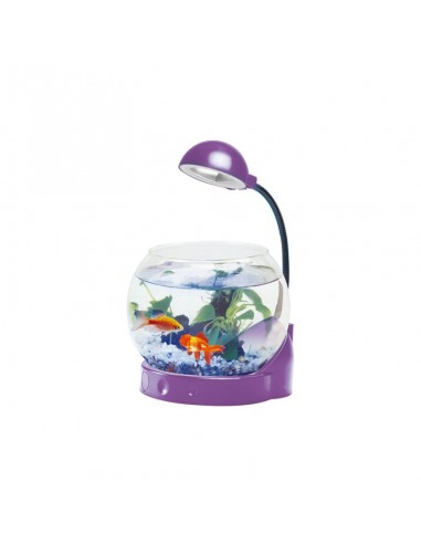Mini acquario con illuminazione