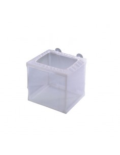 Sala parto in rete M