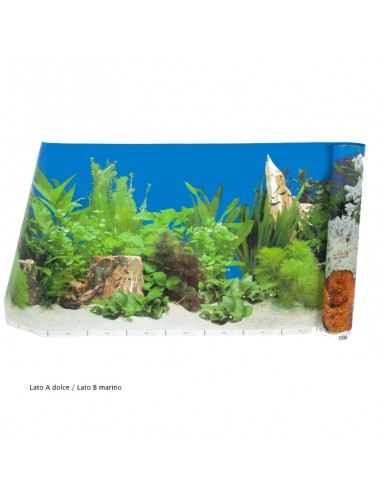 Carta decorativa double-face acquario