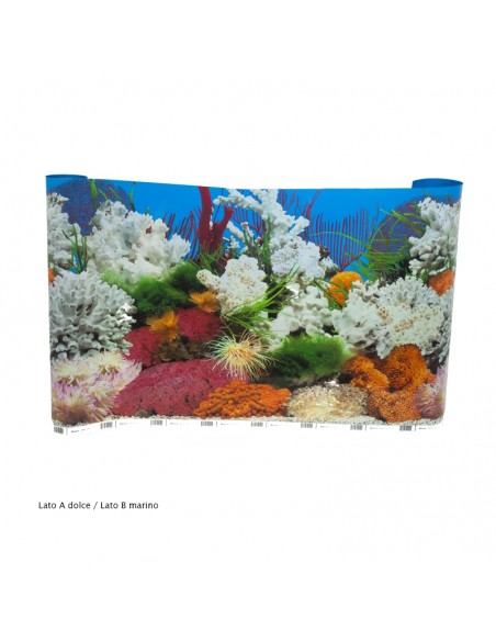 Carta decorativa double-face acquario
