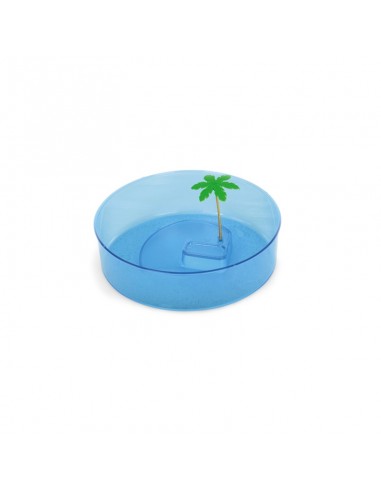 Tartarughiera Itaca 40x27x10