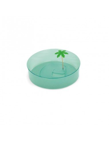 Tartarughiera Itaca 40x27x10