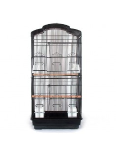 Gabbia calopsite, cocorite, bengalini e altri piccoli uccelli