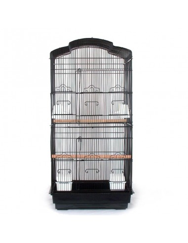 Gabbia calopsite, cocorite, bengalini e altri piccoli uccelli