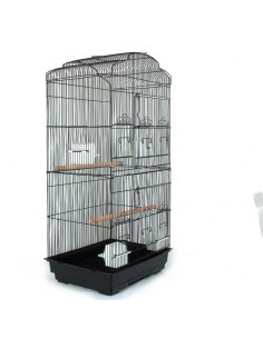 Gabbia calopsite, cocorite, bengalini e altri piccoli uccelli 2