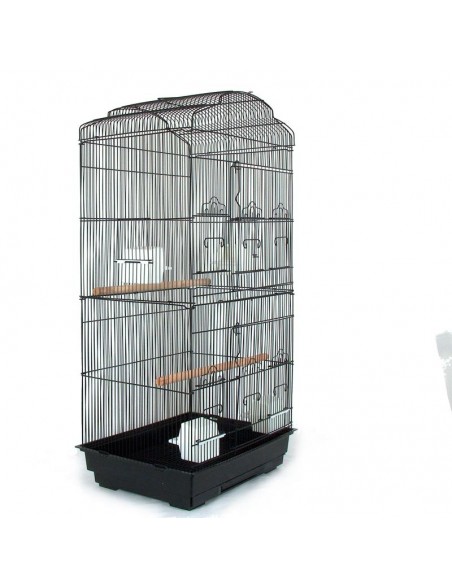 Gabbia calopsite, cocorite, bengalini bianca