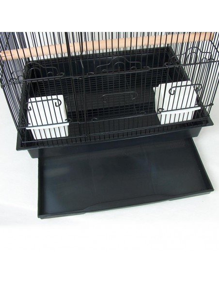 fondo gabbia calopsite