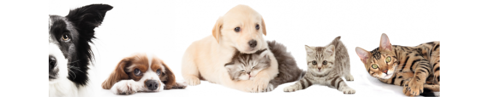 Accessori per cani e per gatti