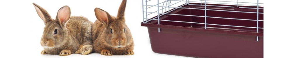 Gabbia conigli