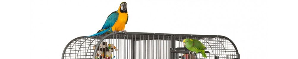 Gabbie per pappagalli e coperture