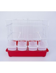 Gabbia Per Uccelli Pet's Solution - Spaziosa Per Canarini E Cocorite Con Accessori Inclusi - Foto 5